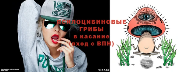 PSILOCYBIN Комсомольск