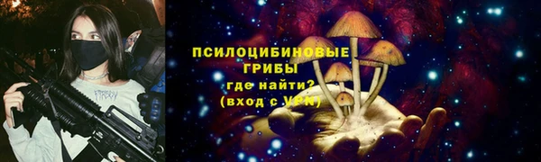 марки lsd Горняк