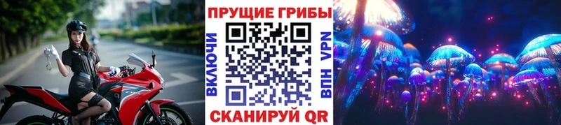Псилоцибиновые грибы мицелий  где продают наркотики  Плёс 